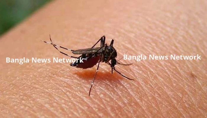 একদিনে ডেঙ্গু আক্রান্ত আরও ৩৮৩ জন, মৃত্যু ১