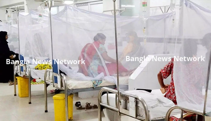 ডেঙ্গুতে আক্রান্ত হয়ে ৫২ জন হাসপাতালে ভর্তি