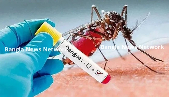 ডেঙ্গুতে আরও ২ জনের মৃত্যু, হাসপাতালে ভর্তি ৭০৫