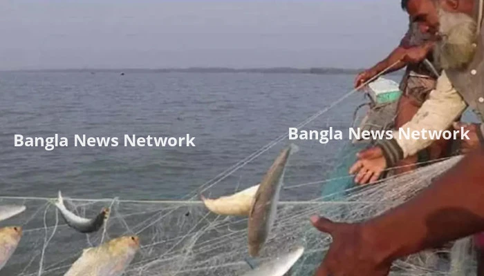 মেঘনা নদীতে ইলিশ ধরায় ২২ দিনের নিষেধাজ্ঞা শুরু