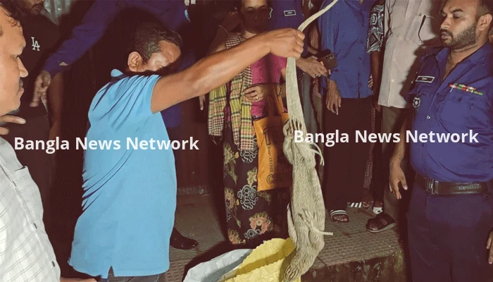 খাগড়াছড়িতে পাঁচ বস্তা থেকে ২৪টি গুইসাপ উদ্ধার, নারী আটক