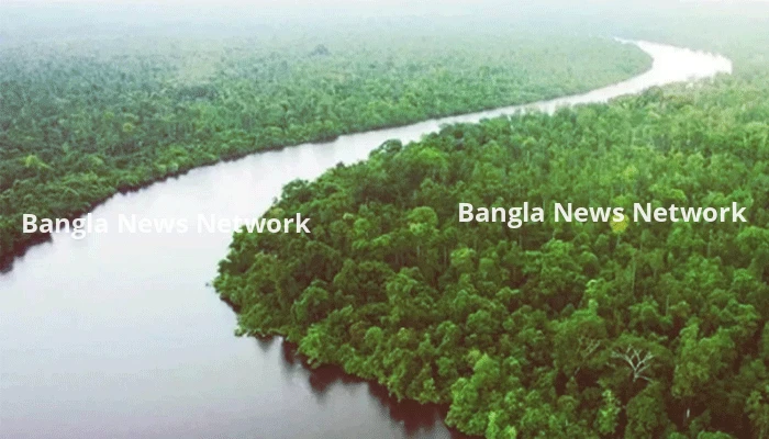 সুন্দরবন প্রবেশে ৩ মাসের নিষেধাজ্ঞা শুরু