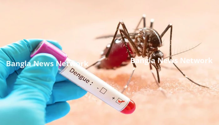 ডেঙ্গুতে আরও ৩ মৃত্যু, হাসপাতালে ৫৯৩ জন