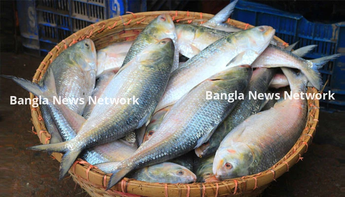 ১১ হাজার টন ইলিশ রপ্তানি হবে আরব ও আমিরাতে