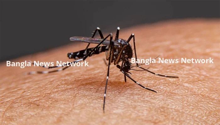 ডেঙ্গুতে আরও ৩ জনের মৃত্যু, হাসপাতালে ভর্তি ৪৭৩