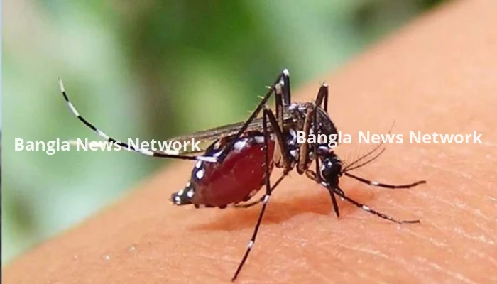 ২৪ ঘণ্টায় ডেঙ্গুতে হাসপাতালে ভর্তি আরও ৩৪৩ জন