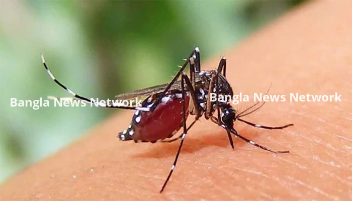 ডেঙ্গুতে আরও ৫ জনের মৃত্যু, হাসপাতালে ভর্তি ১১৪৭ জন