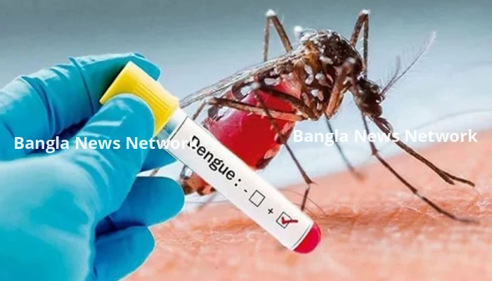 ডেঙ্গুতে একদিনে ৮ মৃত্যু, হাসপাতালে ভর্তি ৭৭৮
