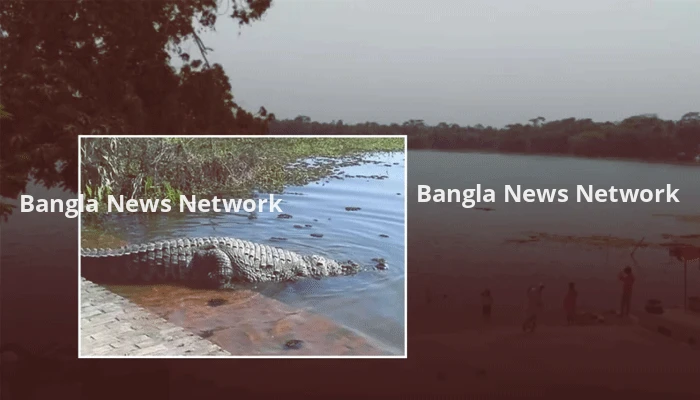 খান জাহান আলীর মাজারের দীঘিতে শিশুকে টেনে নিয়ে গেছে কুমির