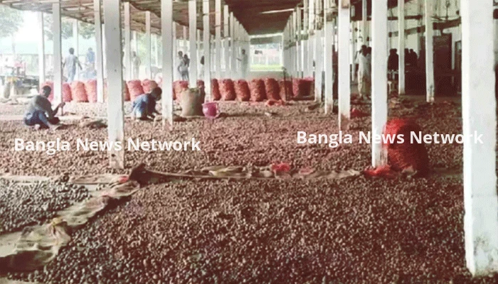 লোডশেডিংয়ে আলু নিয়ে শঙ্কা