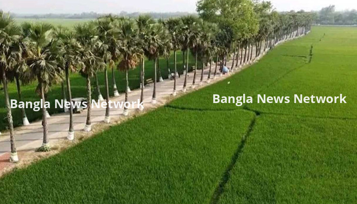 নওগাঁয় তালসড়কে বসবে ঐতিহ্যবাহী পিঠা মেলা