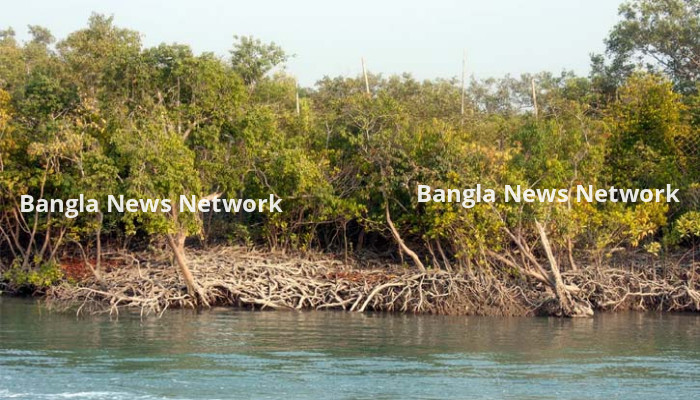 সুন্দরবনের অভয়ারণ্যে মাছ শিকার, সাত জেলেকে ১৫ লাখ টাকা জরিমানা