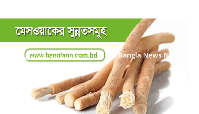 মিসওয়াকের সুন্নাতসমূহ