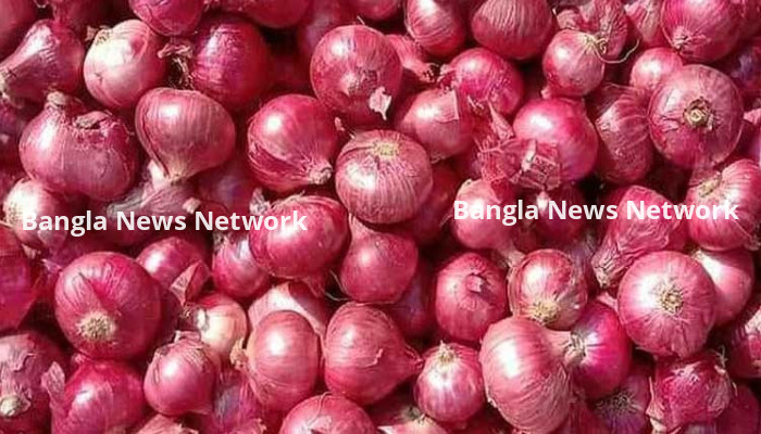 পেঁয়াজ রফতানিতে ভারতের ৪০ শতাংশ শুল্ক আরোপ, আমদানি বন্ধের আশঙ্কা!