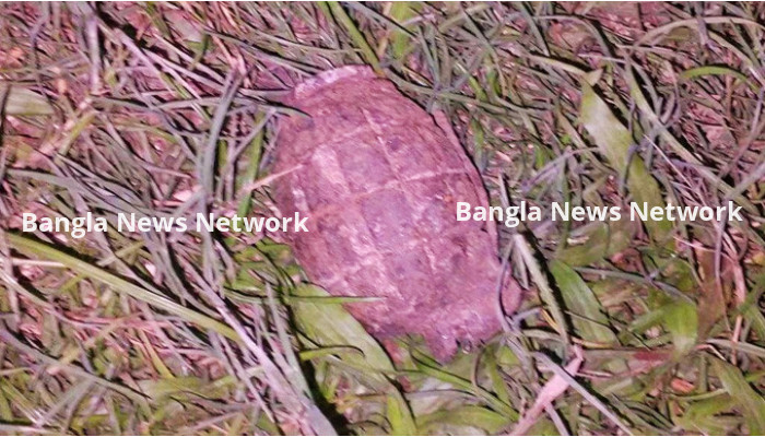 কুষ্টিয়ার দৌলতপুরে পরিত্যক্ত অবস্থায় অবিস্ফোরিত গ্রেনেড উদ্ধার