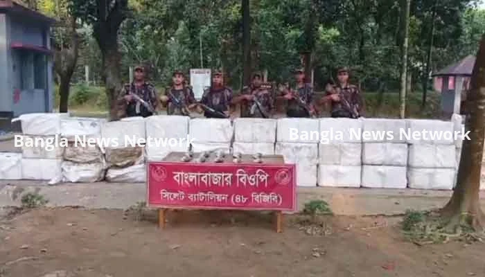 ভারতে পাচারের সময়  ৮৮৫ কেজি ইলিশ জব্দ করেছে বিজিবি
