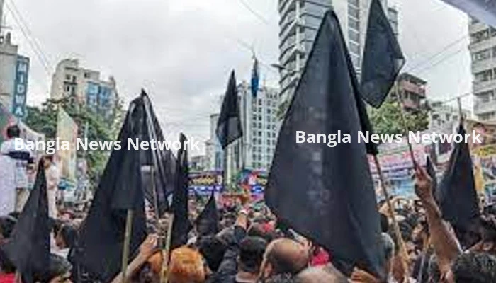 সংসদ অধিবেশনের প্রথমদিন বড় শোডাউন করছে বিএনপি