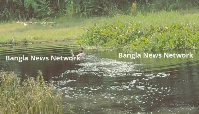 ঝিনাইদহ সীমান্তে বিএসএফের পুশ-ইন চেষ্টা, বিজিবির বাধায় ব্যর্থ