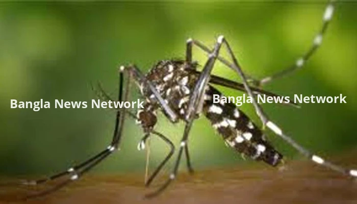 ডেঙ্গুতে ২৪ ঘণ্টায় পাঁচজনের মৃত্যু