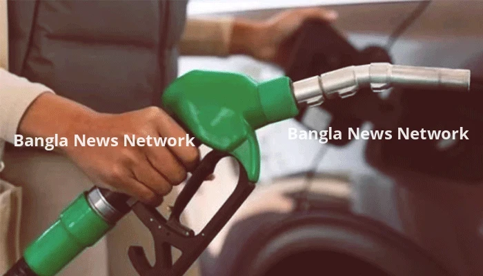 জ্বালানি সংকট সমাধানে সংসদে বিশেষ কমিটি গঠন, মেয়াদ ৩০ দিন