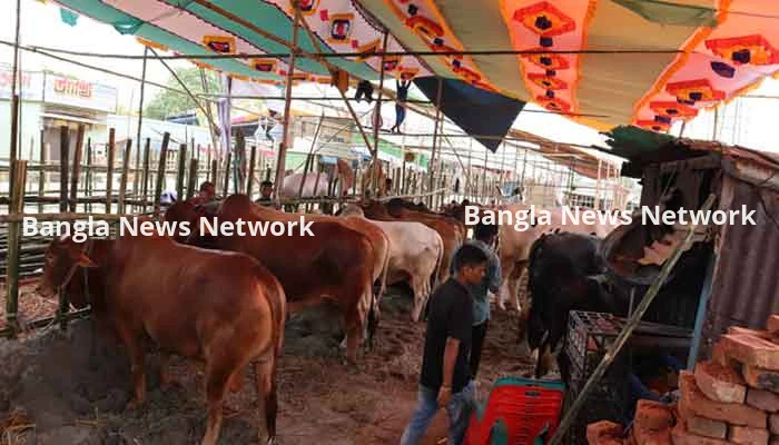 বুধবার থেকে জমবে গাবতলী হাট, ১০ লাখের বেশি পশু বিক্রির টার্গেট
