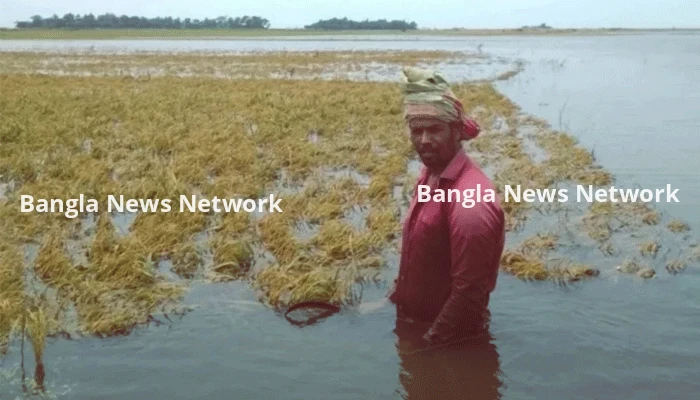 হাওরের ক্ষয়ক্ষতির সরকারি তথ্যের সঙ্গে বাস্তবতার মিল নেই!