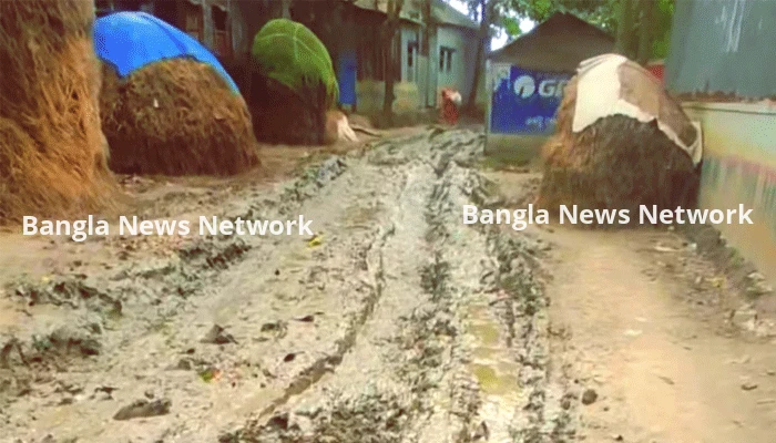আতিয়ারা আর কতকাল মরবে!
