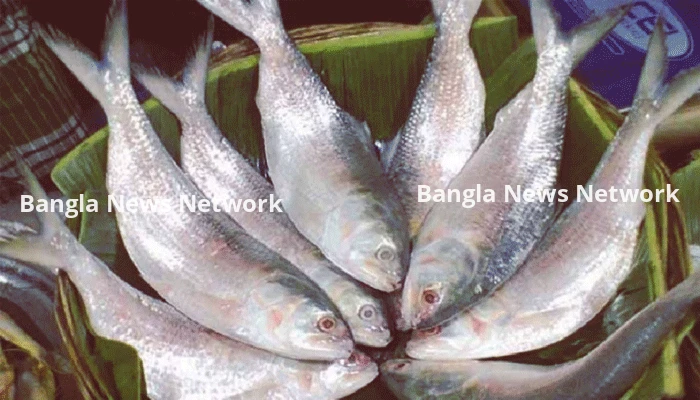 দুর্গাপূজা উপলক্ষে ইলিশ চায় ভারত, নিষেধাজ্ঞা প্রত্যাহারের আহ্বান