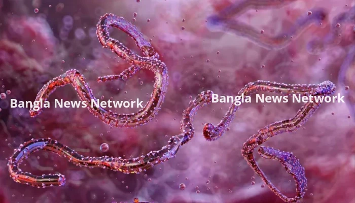 ইথিওপিয়ায় প্রথমবারের মতো মারবার্গ ভাইরাস শনাক্ত, কীভাবে ছড়ায়?