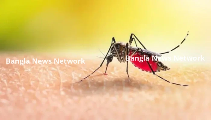 ডেঙ্গু আক্রান্ত হয়ে হাসপাতালে আরও চার শতাধিক রোগী