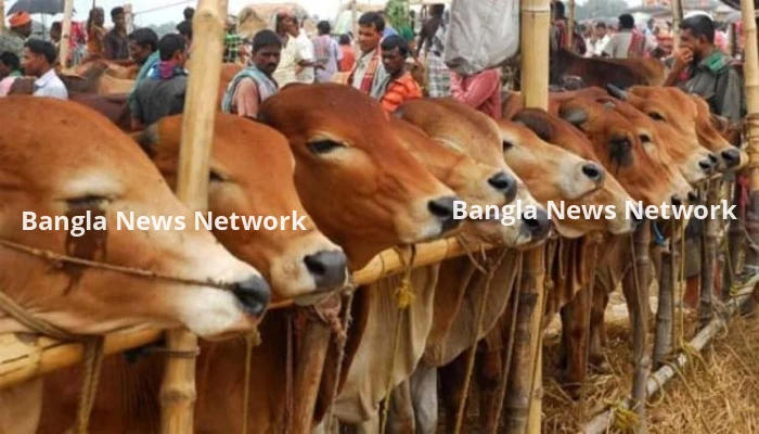 ঈদে ১ কোটি ৪ লাখ গবাদিপশু কোরবানি দেওয়া হয়েছে