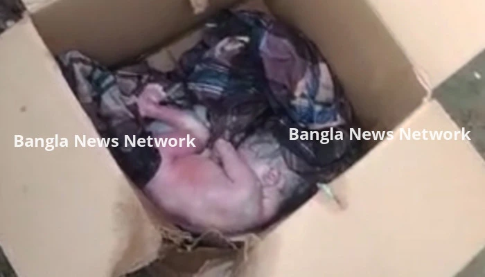 সরাইলে কার্টুন থেকে নবজাতকের মরদেহ উদ্ধার