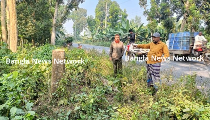 মহেশপুরে সড়কে গাছ ফেলে ডাকাতি