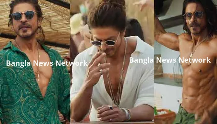 শাহরুখের নায়িকারও ছাড় নেই! বিছানায় আপস না করলেই...
