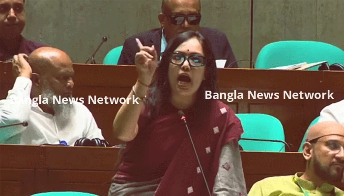 সংসদে রুমিন ফারহানাকে অশালীন ভাষায় গালাগালের অভিযোগ