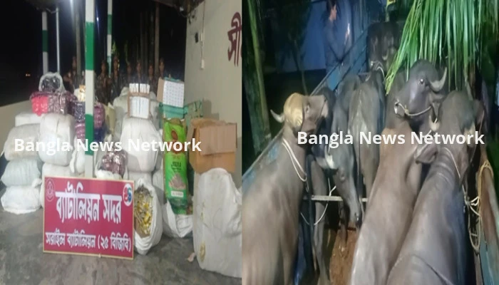 ভারতীয় মহিষসহ ৪ কোটি টাকার চোরাই পণ্য জব্দ