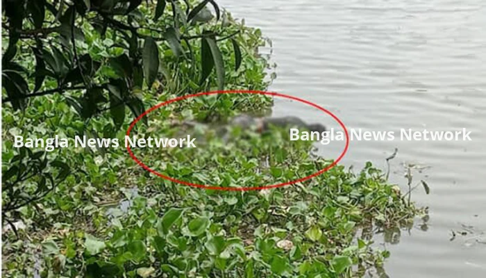 চাঁপাইনবাবগঞ্জে মহানন্দা নদীতে ভাসমান অবস্থায় মরদেহ উদ্ধার