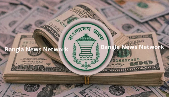 ডলার বাজারে স্থিতি ফেরাতে নিলামে ২০৯ মিলিয়ন ডলার কিনল কেন্দ্রীয় ব্যাংক