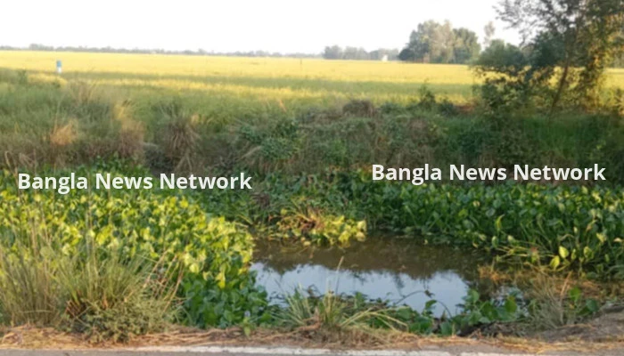 আত্রাইয়ে একটি ব্রিজের অভাবে থমকে আছে কৃষকের স্বপ্ন