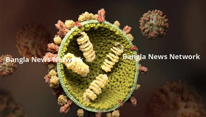 আগামীতে মহামারীর আকার ধারণ করতে পারে ফ্লু ভাইরাস