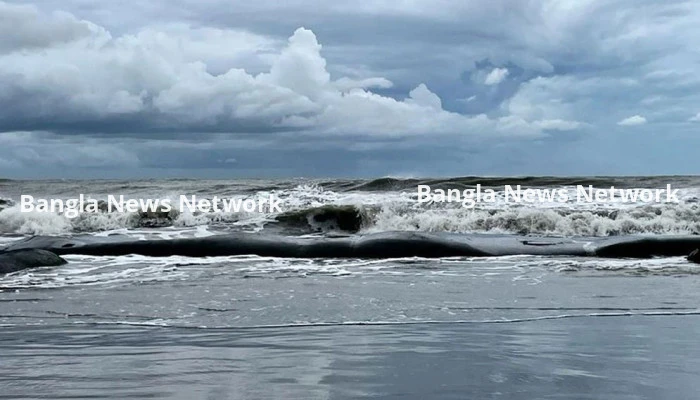 উত্তাল সাগর, নিম্নচাপ নিয়ে যে তথ্য দিল আবহওয়া অফিস