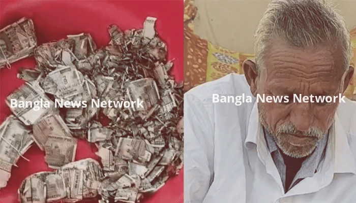 জমি বিক্রির টাকা লুকিয়ে মাটিতে পুঁতলেন, শেষ পর্যন্ত গেল উইপোকার পেটে