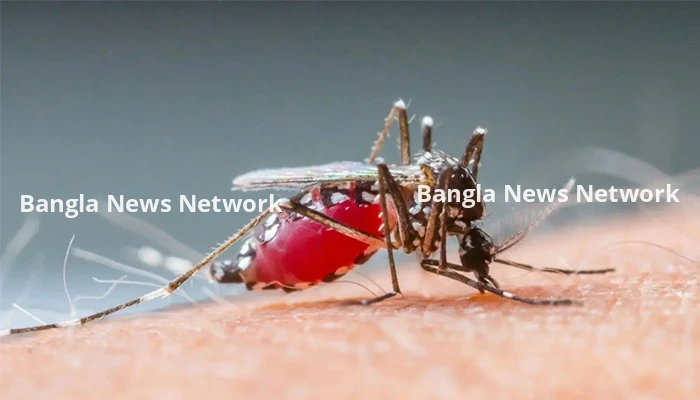 চট্টগ্রামে ডেঙ্গু রোগীর সংখ্যা দিন দিন বারছে