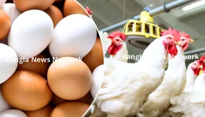 এক মেসেজে বেড়ে যায় মুরগি ও ডিমের দাম