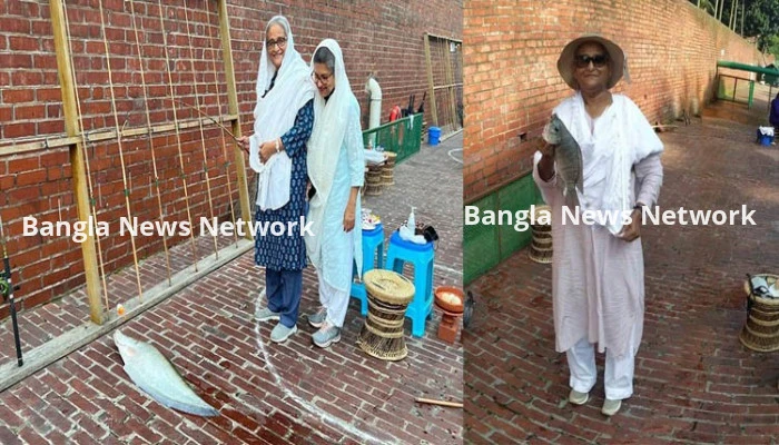 চাষ করে ১০২ টন মাছ পেয়েছেন প্রধানমন্ত্রী