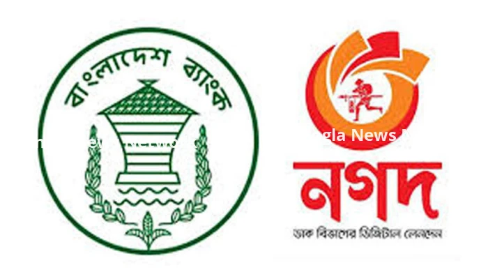 নগদের গ্রাহকদের টাকা ও তথ্যের নিরাপত্তা এখন ঝুঁকিতে রয়েছে: বাংলাদেশ ব্যাংক