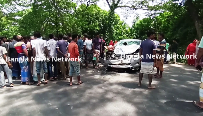 নাটোরে প্রাইভেটকারের ধাক্কায় ভ্যানচালক নিহত