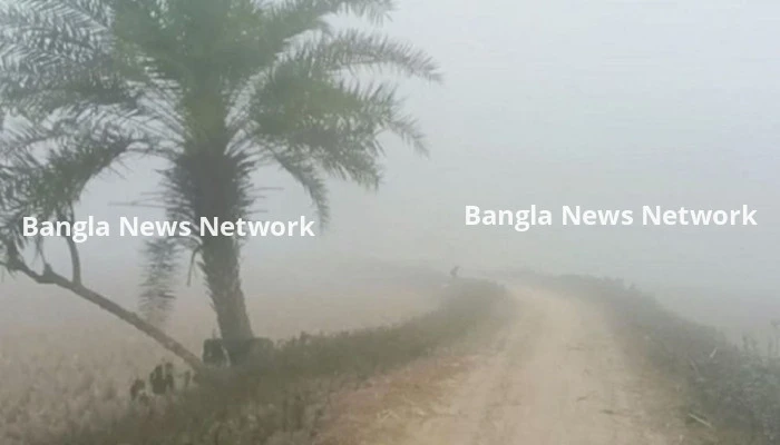 তাপমাত্রা ও শৈত্যপ্রবাহ নিয়ে নতুন বার্তা দিল আবহাওয়া অফিস