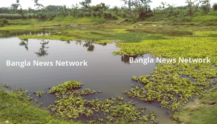 শ্রীমঙ্গলে পানিতে ডুবে দুই শিশুর মৃত্যু