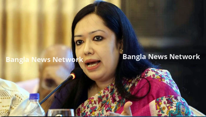 এনসিপিকে নিয়ে বিএনপি কেন ‘অস্বস্তিতে’, যা বললেন রুমিন